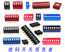撥碼開關(guān)系列